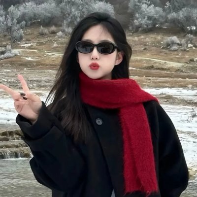 阿涅斯论瓦尔达海报